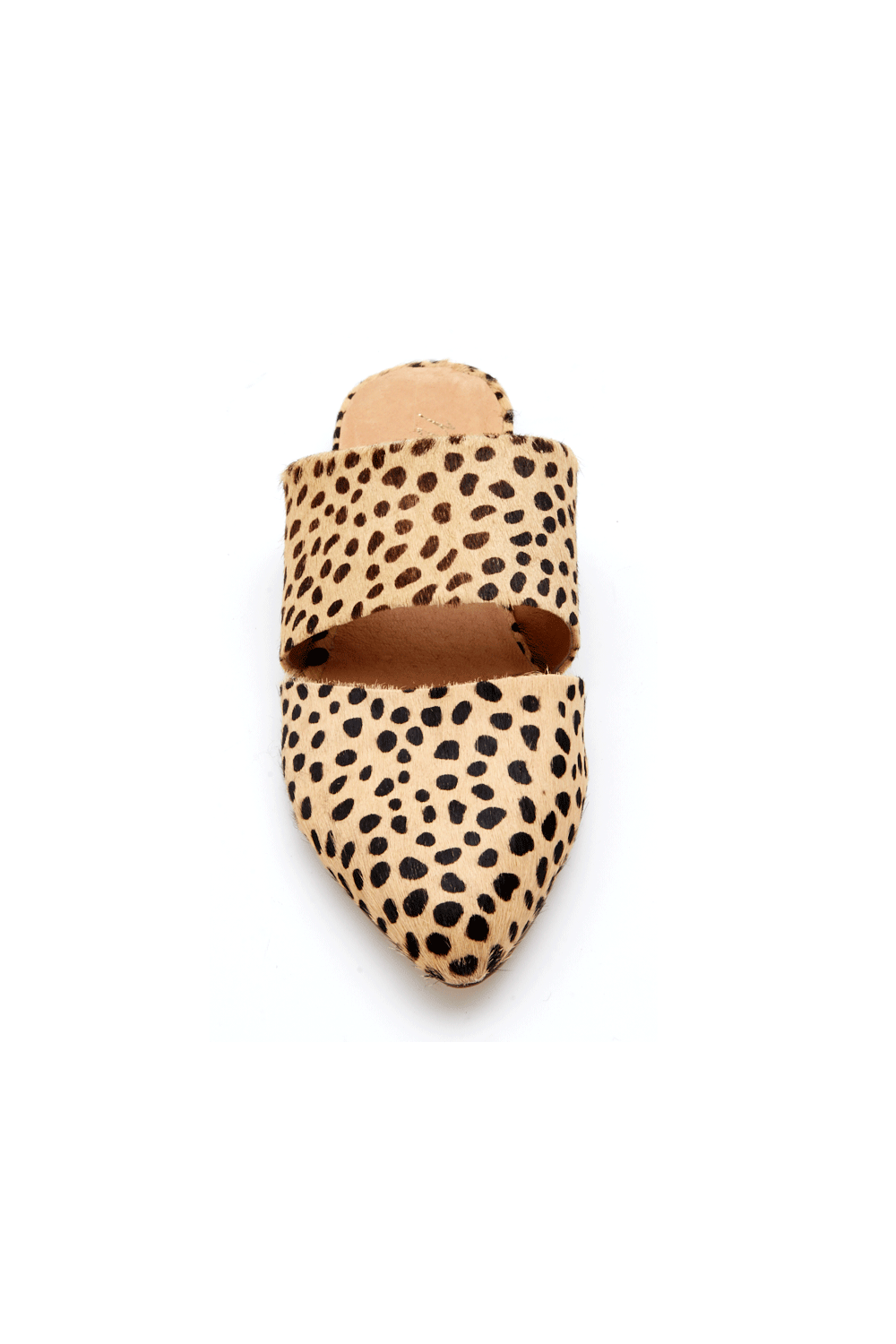 Matisse Berlin Slide - Cheetah - FINAL 