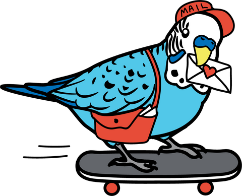 Mail budgie on a skatboard