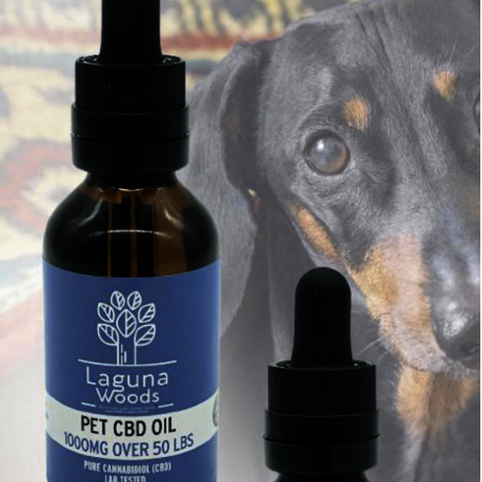 CBD Oil for Pets