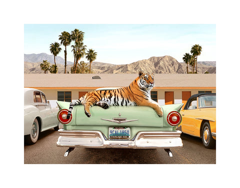 Tiger Motel limited edition art print by Paul Fuentes | Enter Gallery 