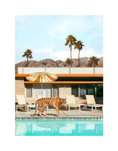 Pool Party Tiger art print by Paul Fuentes | Enter Gallery 