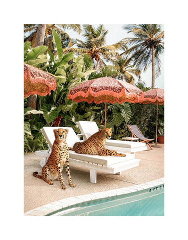 Cheetahs at the Pool limited edition print by Paul Fuentes | Enter Gallery 