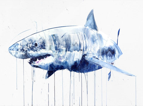 Great White art print by Dave White | Enter Gallery 