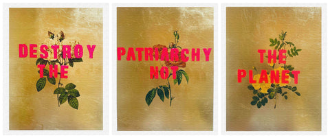 Destroy The Patriarchy Not The Planet by Hannah Shillito | Enter Gallery