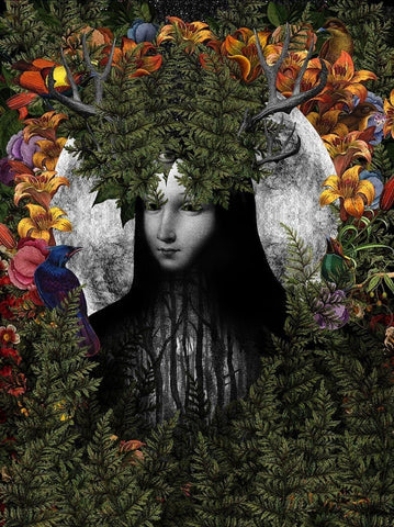 Old Growth by Dan Hillier | Enter Gallery 