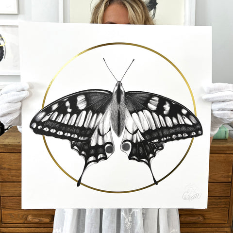 Elizabeth Waggett Butterfly 