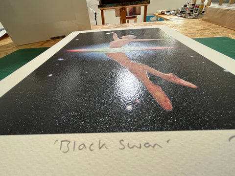 Black Swan limited edition art print by Joe Webb | Enter Gallery 