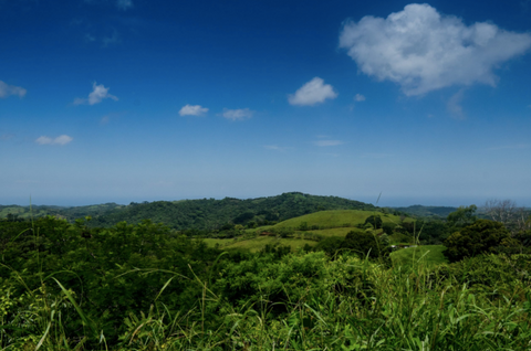 Connecting the Roots Costa Rica