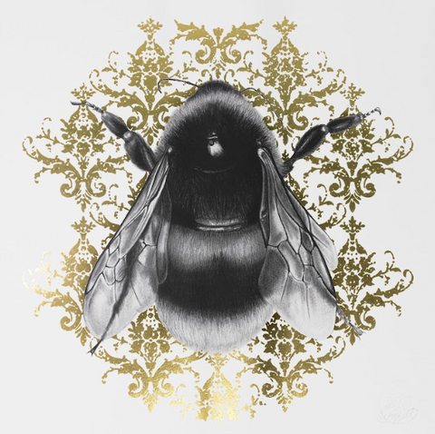 Bee II limited edition art print by Elizabeth Waggett | Enter Gallery