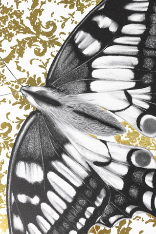 Butterfly II limited edition by Elizabeth Waggett | Enter Gallery