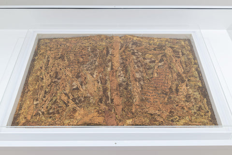 Tobacco Book by Xu Bing | Enter Gallery