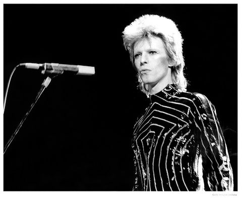 Ziggy Stardust 500