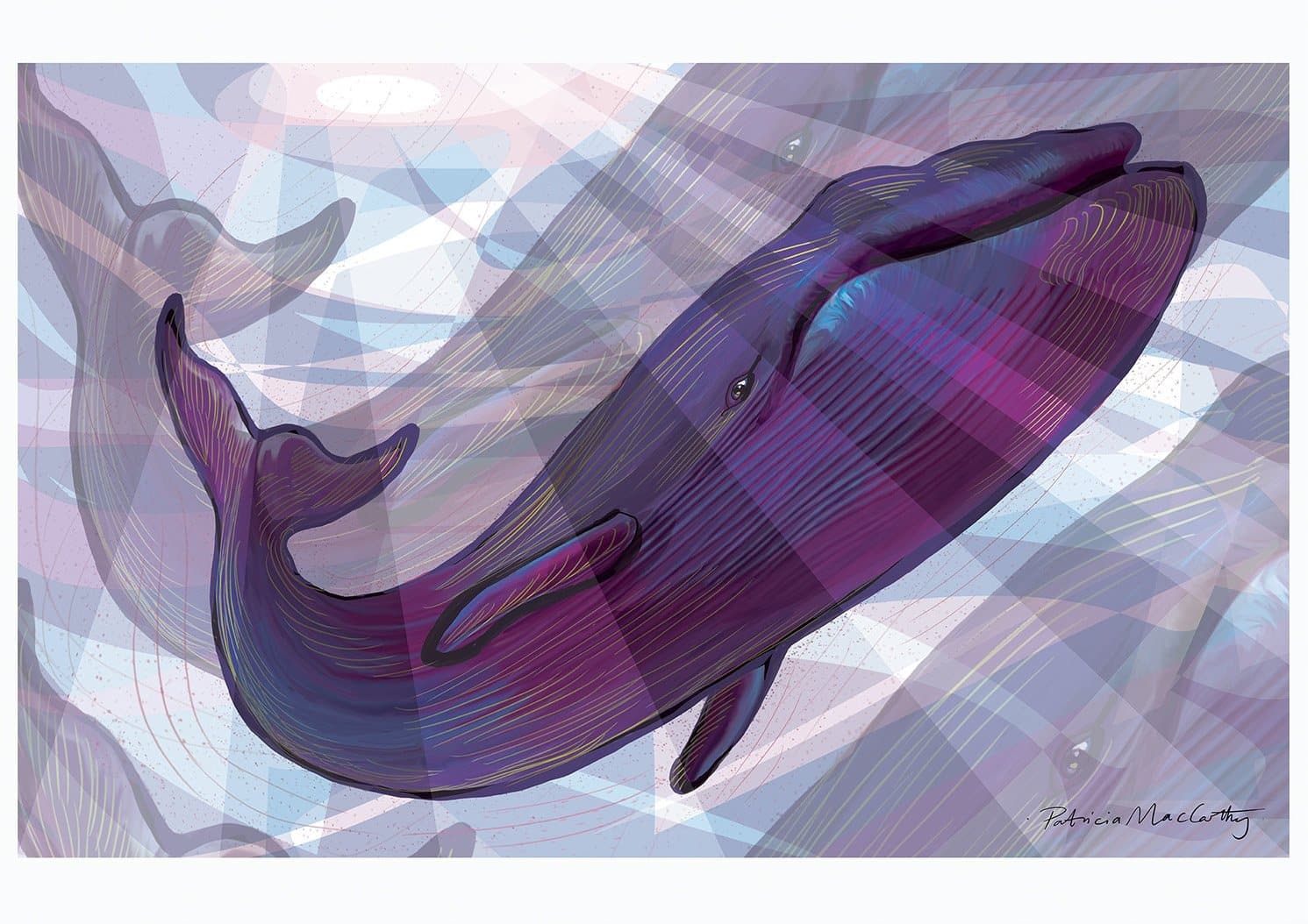 Image of A Feather In The Air, Whale artwork by Patricia MacCarthy, free delivery