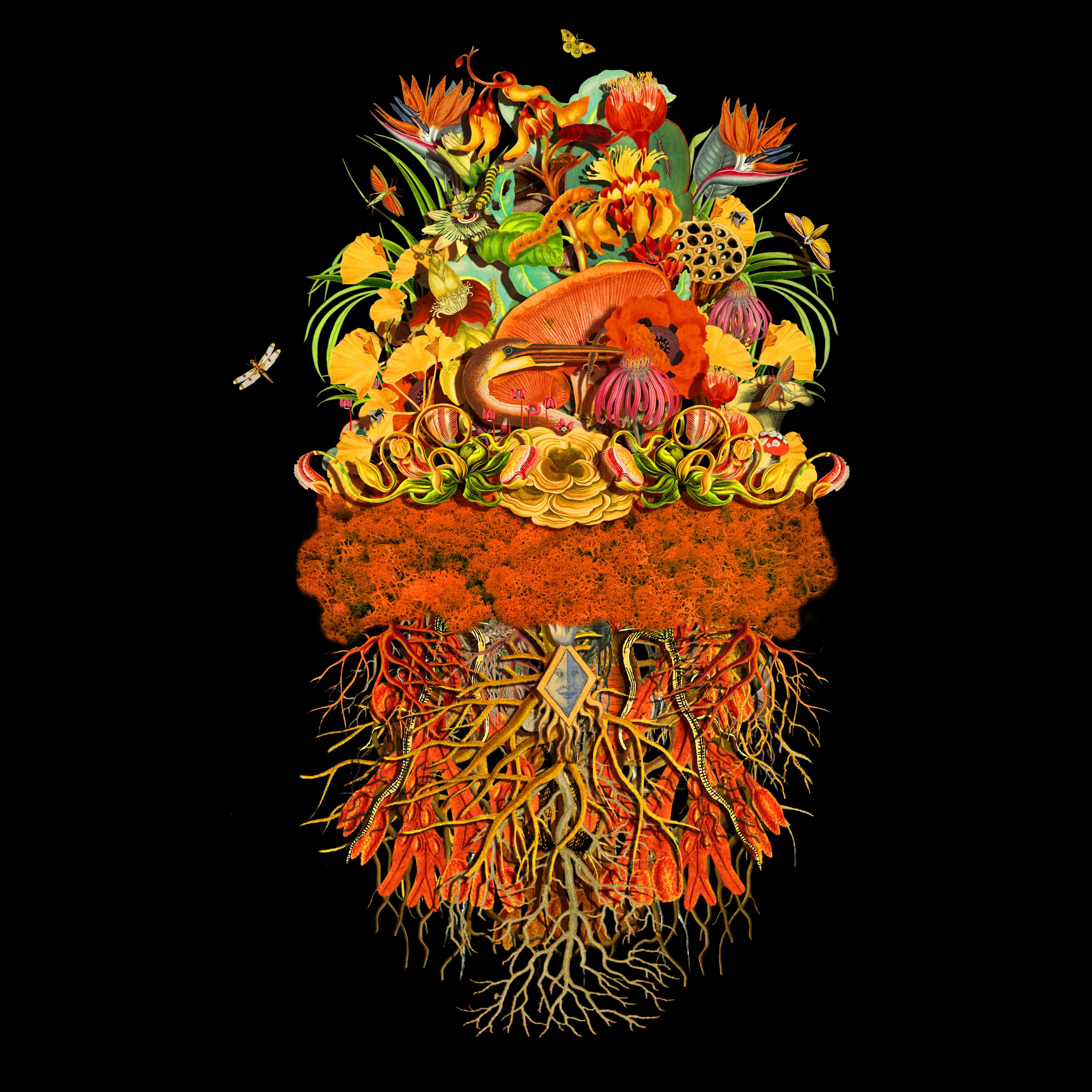 Image of Botanical Troupe: Sunbeam artwork by JanaNicole, free delivery