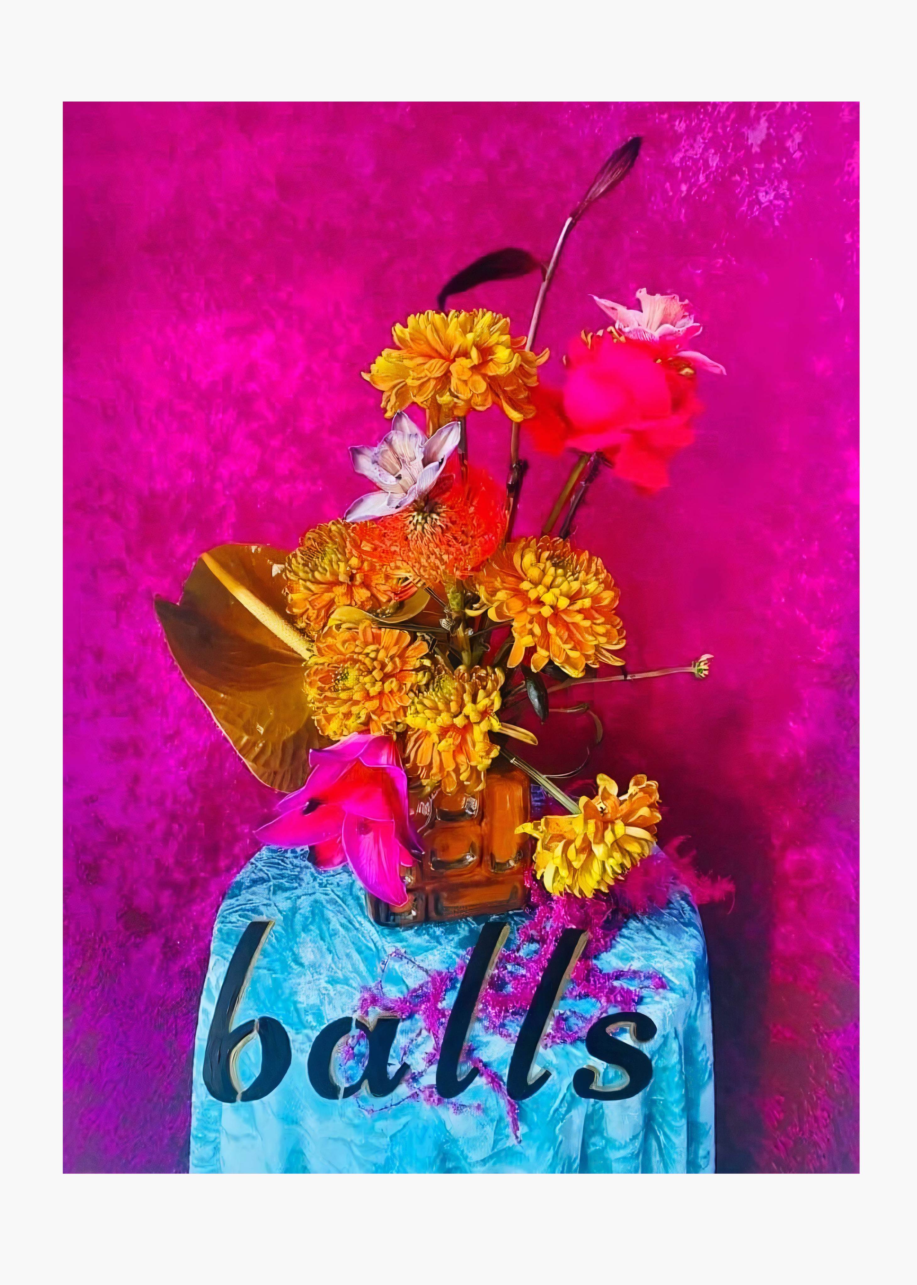Image of Balls, Chrysanthemum, Anthurium, Rose artwork by Hannah Shillito X Yan Skates, free delivery