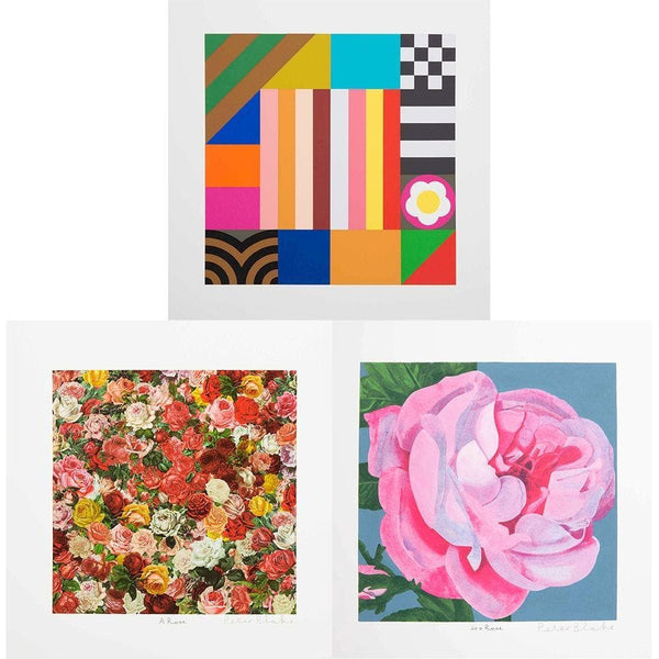 A Rose, Is a Rose, Is a Rose by Peter Blake | Enter Gallery