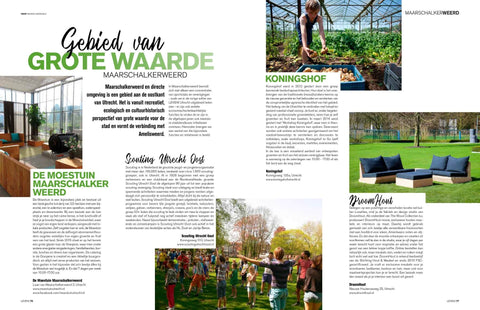 Montecastelli Lounge-Set im Life Magazine DroomHout