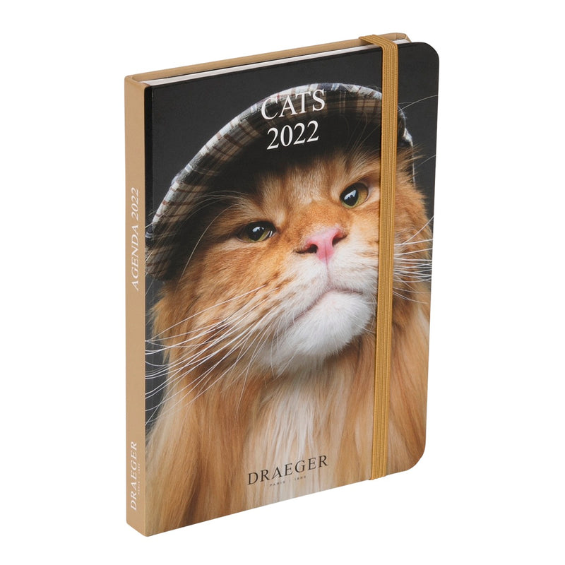 Agenda De Poche Chats 22