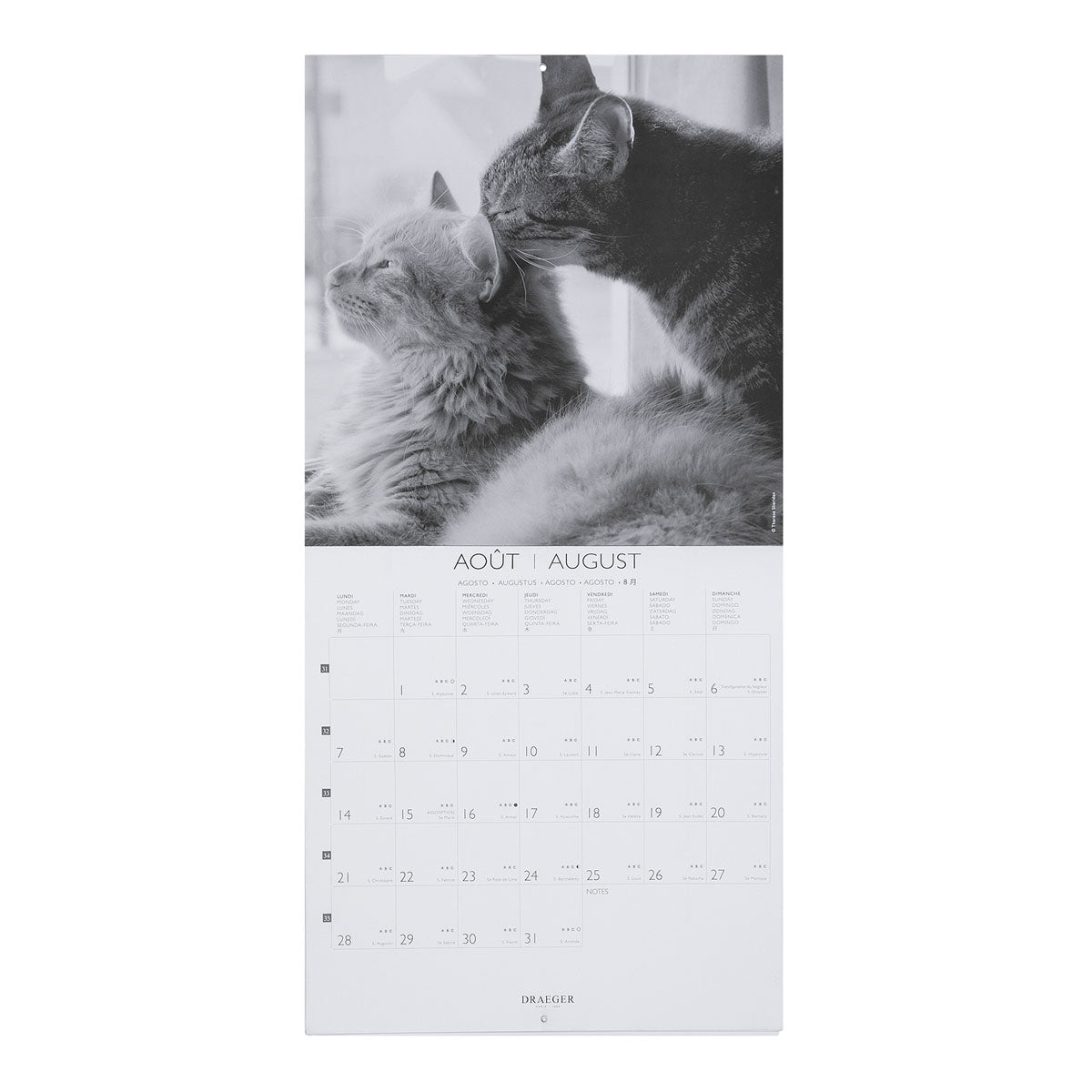 Grand Calendrier Mural Chats Noir Et Blanc 23