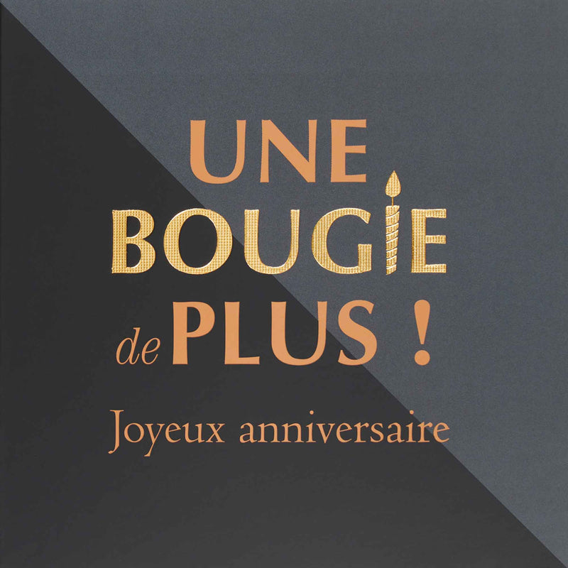 Carte Anniversaire Une Bougie De Plus