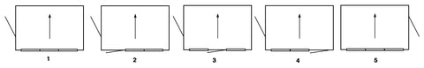 Window and door positions