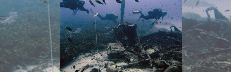 Mosquito Fighter Bomber Wreck