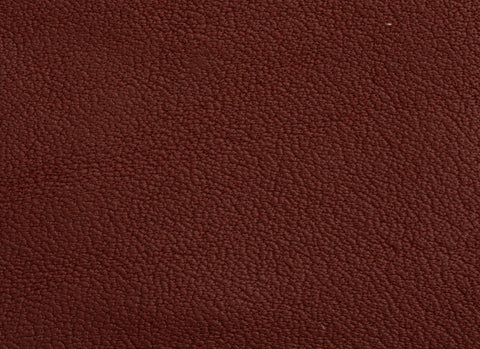 leather skin