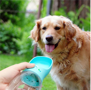 Portable Dog Water Bottle