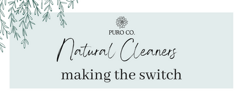 Natural Cleaners Making the Swith