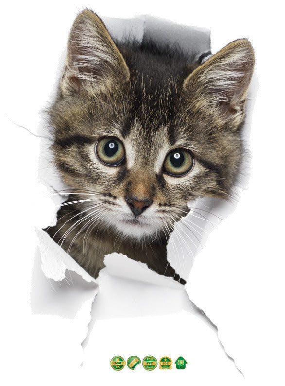 Stiker  dinding realistis emoji kucing  lucu  stiker  dinding 