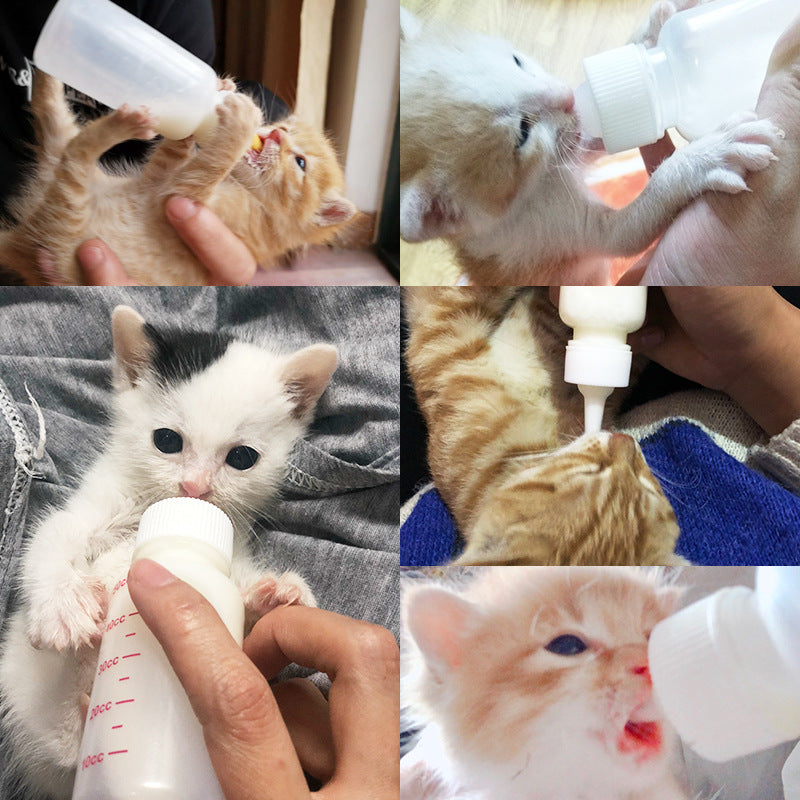 Pet botol Susu single anjing botol makan kucing makan botol cat feeding  botol anak anak kucing memberi makan botol 50ml 120ml