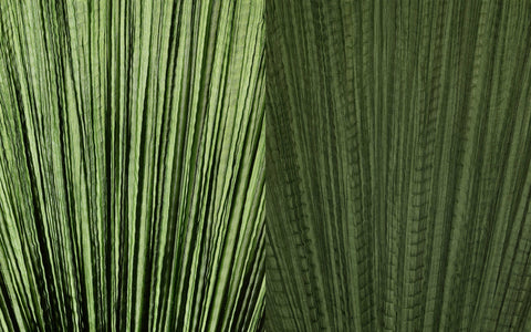 Grass silk