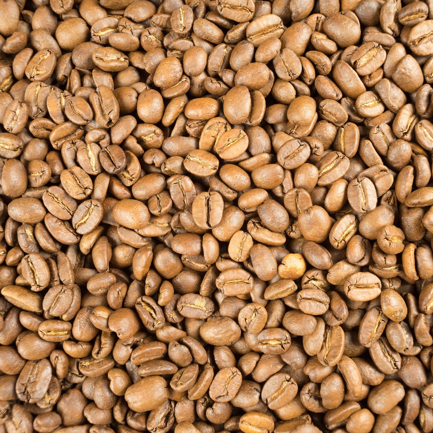 Light Roast Coffee beans