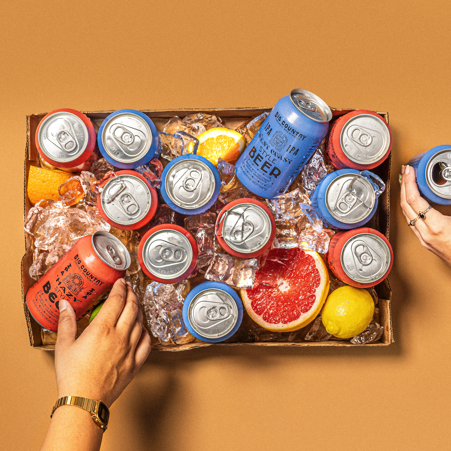 Hands reaching into ice with beers and fruit.