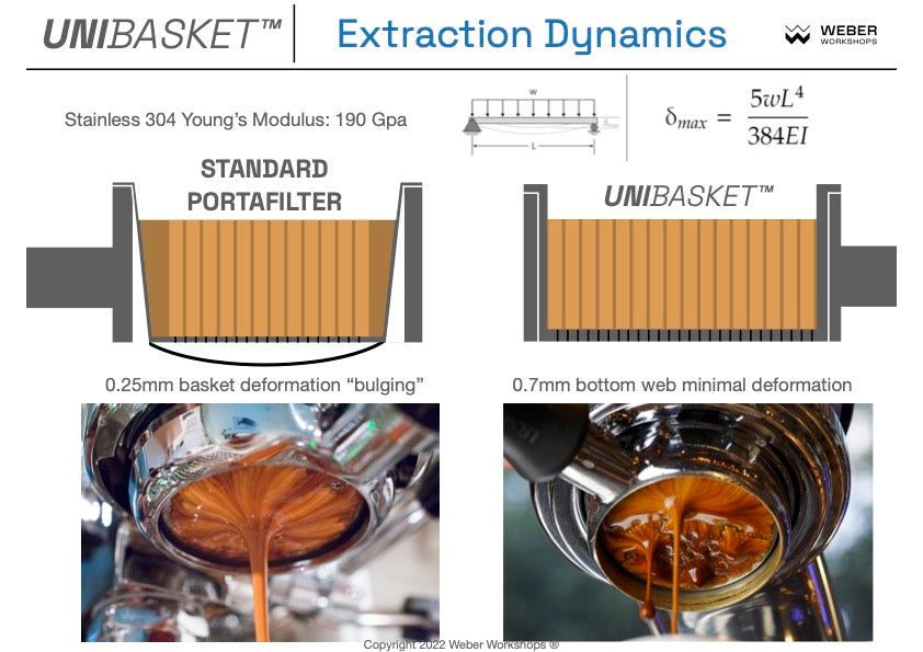 Extraction Dynamics