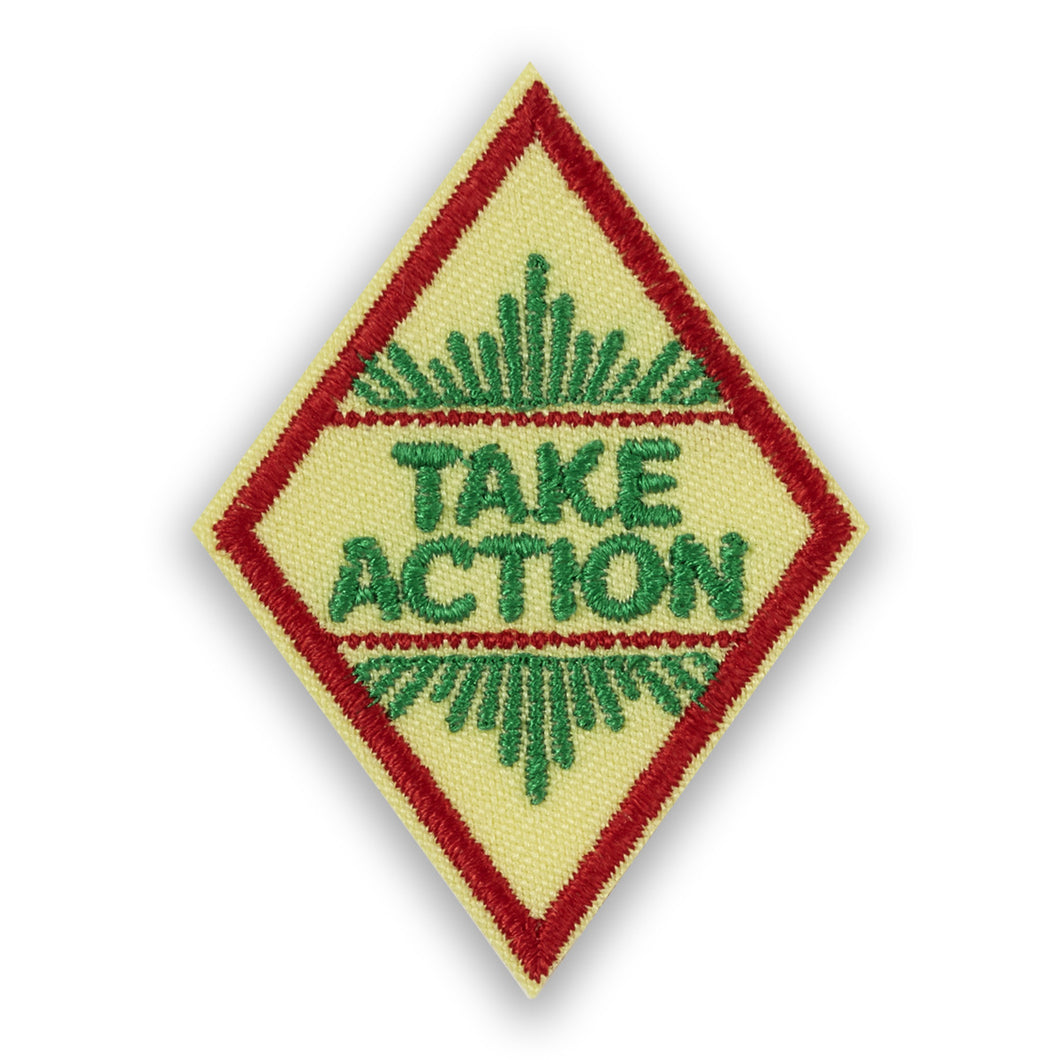 Cadette Take Action Award Badge