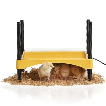 Heating Plates for Chick Brooders - Premier1Supplies