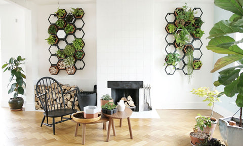 living wall wellbeing