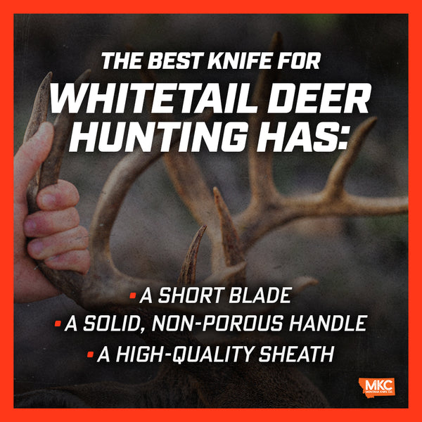 Infographic: How to Choose the Best Knife for Whitetail Deer Hunting