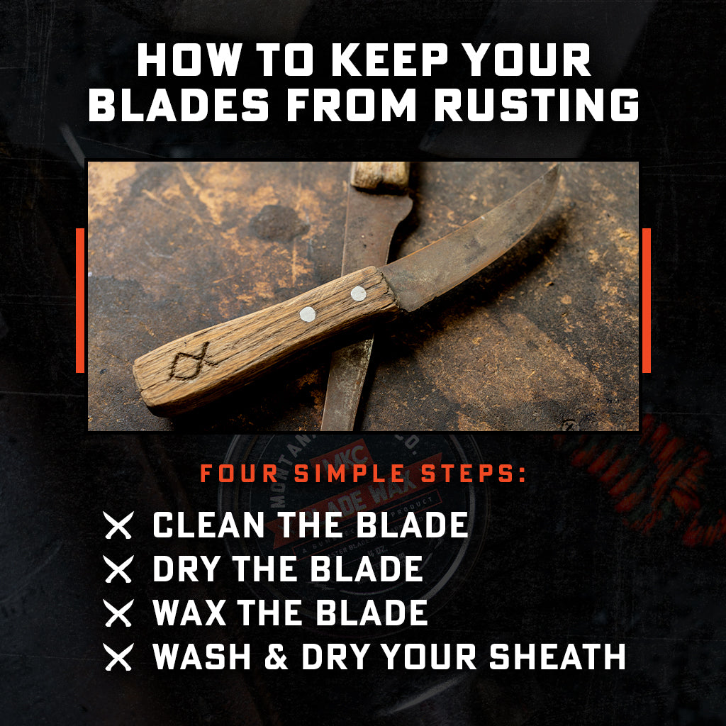 Infographic: How To Keep Your Knife From Rusting: The Complete Guide