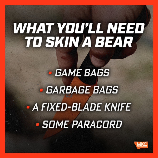 Infographic: How to Skin a Bear: The Complete Guide