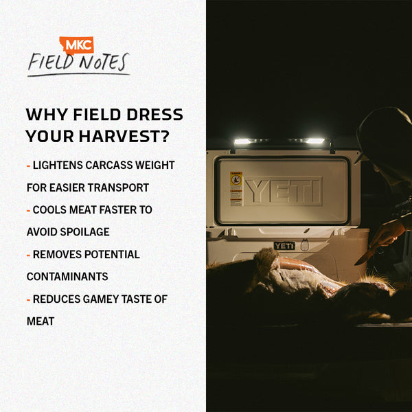 Infographic: Why Should You Field Dress Harvested Game?