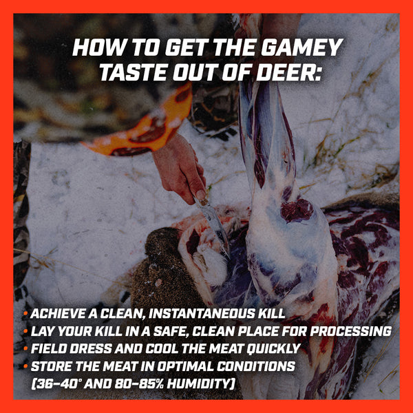 Infographic: How to Get the Gamey Taste Out of Deer: Tips From the Bearded Butchers