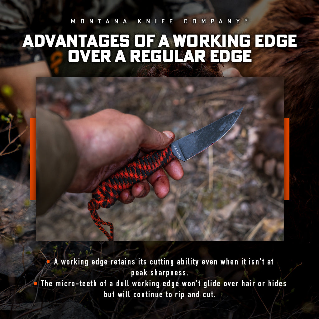 Infographic: Why We Sharpen Our Knives With a Working Edge
