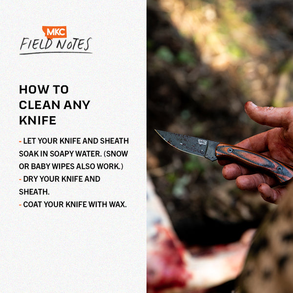 Infographic: How to Clean Any Knife: The Definitive Guide