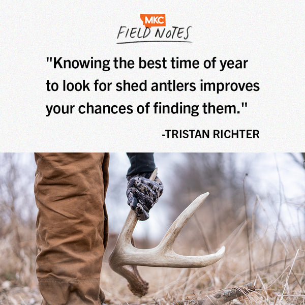 Quote: Master the Art of Finding Shed Antlers: Expert Tips for a Successful Hunt