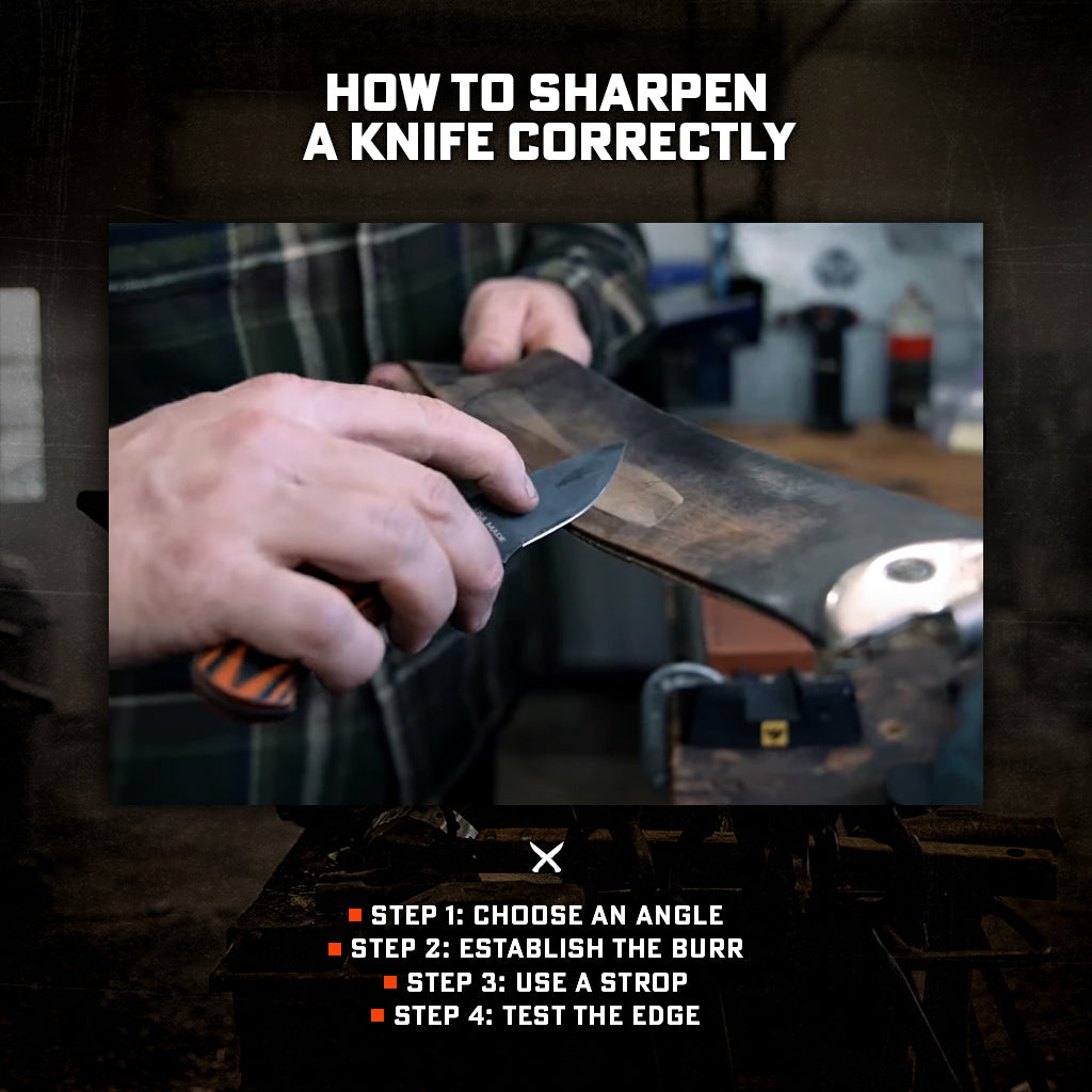 Infographic: How to Sharpen a Knife Correctly