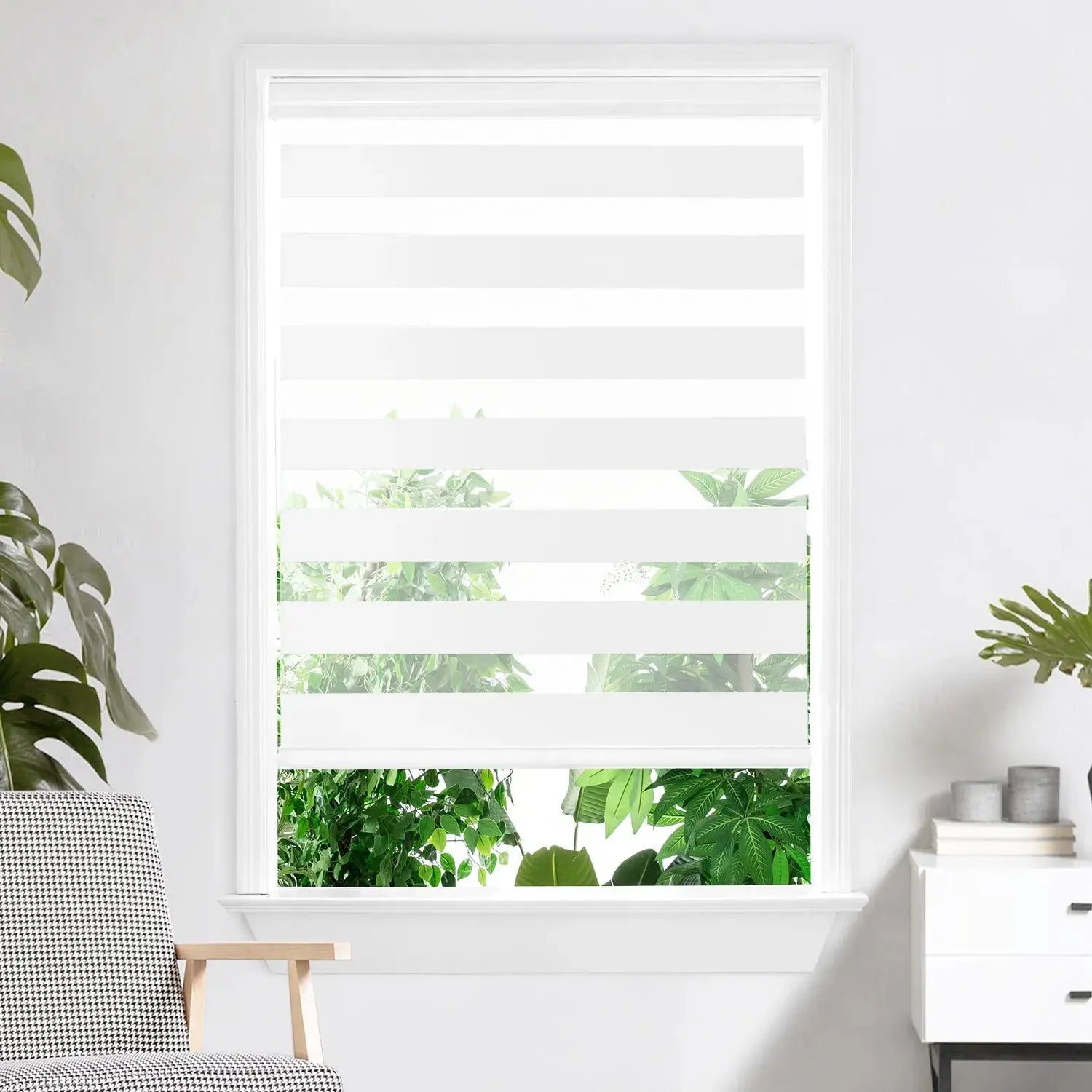 White Light Filtered Zebra Blinds