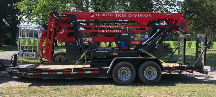 Tree Trimming Greensboro