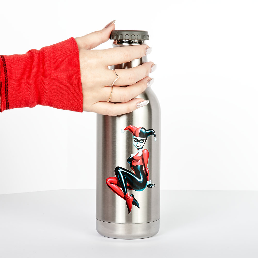 Superman Character and Symbol Stainless Water Bottle